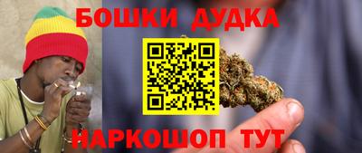 Альфа ПВП Можга