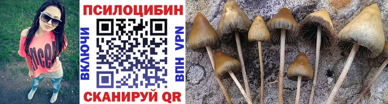 hydra как войти  дарнет шоп  Хасавюрт  Псилоцибиновые грибы ЛСД 